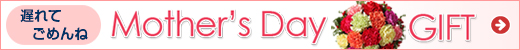 母の日特集