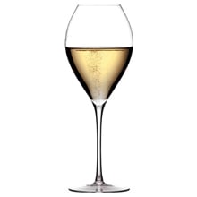 《ラ・マルヌ》　Philipppe Jamesse（フィリップジャムス）　グラン・シャンパーニュ　ペア