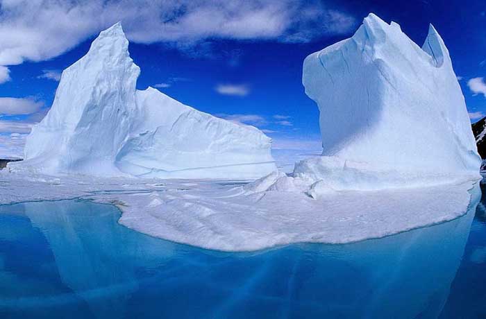 Glaciers and Icebergs of Glacier Bay.