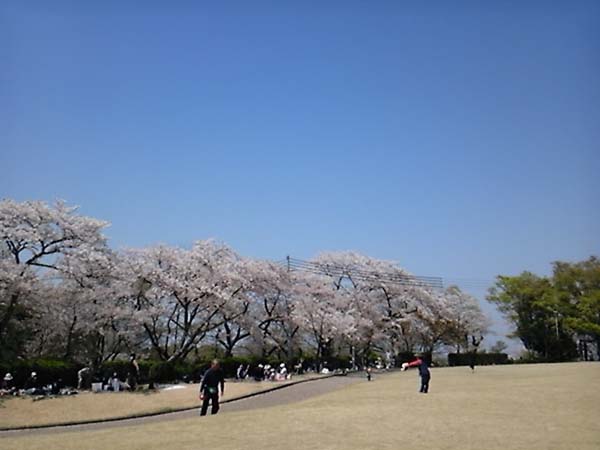 のんびりした時間