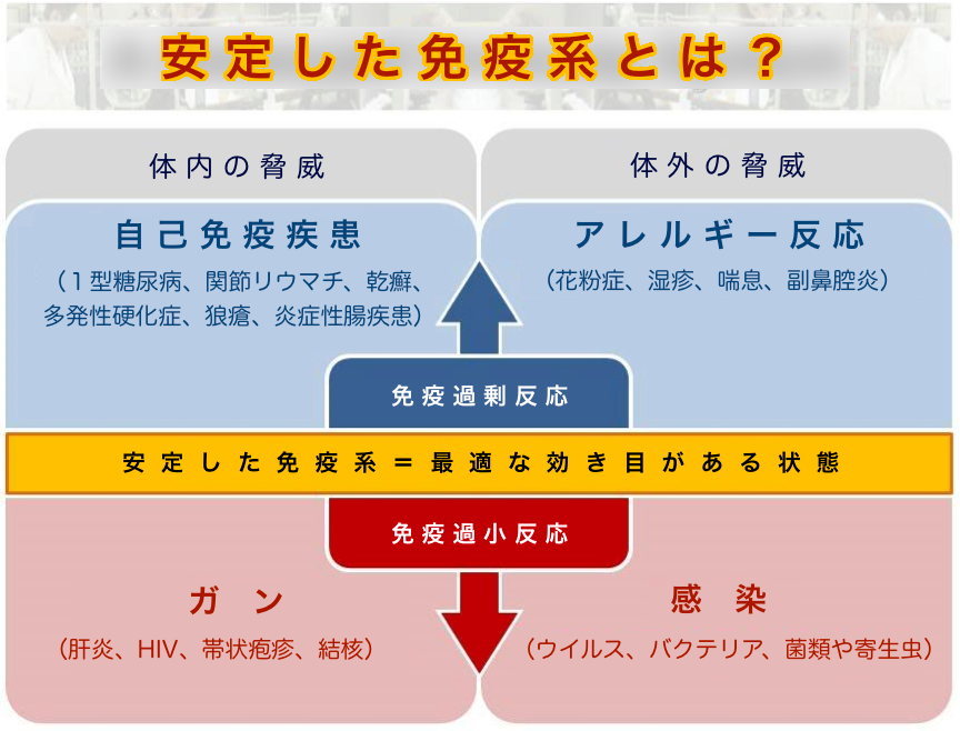 【図】安定した免疫系とは？