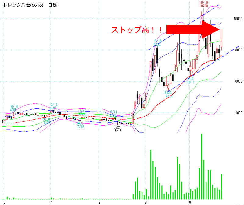 トレックスセ(6616)