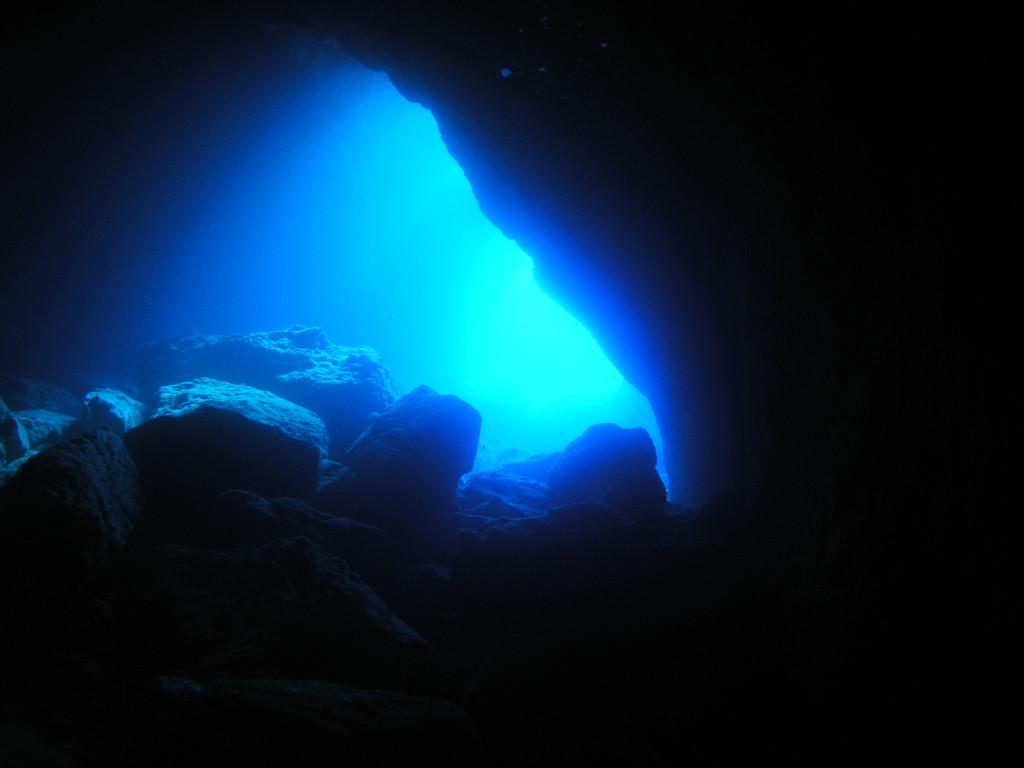 クリックすると新しいウィンドウで開きます