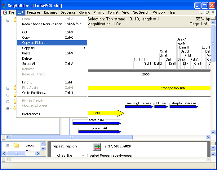 DNASTAR - Creating Custom Cloning Vectors.