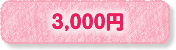 3000円