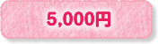 5000円