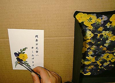 押し花はがきの作り方
