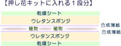 押し花シートの使い方