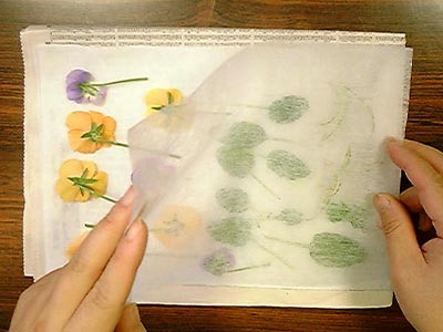 沢山の押し花を本格的に作る