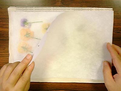 沢山の押し花を本格的に作る