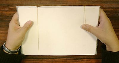 沢山の押し花を本格的に作る