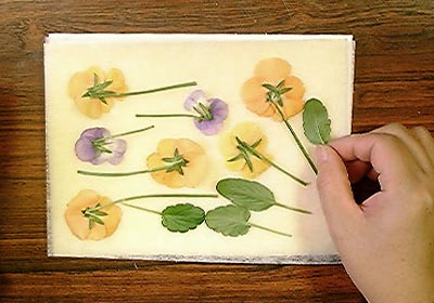 押し花シートの使い方