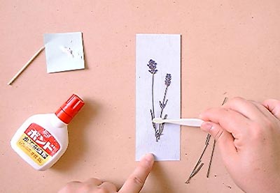 押し花しおりの作り方