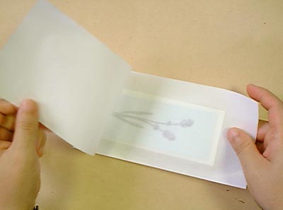 押し花しおりの作り方