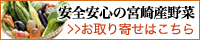安全安心の宮崎県産野菜「百姓隊」