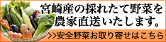 百姓隊が宮崎県産の採れたて野菜を農家直送いたします。