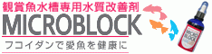 愛魚の健康を守ります！オキナワモズクフコイダンの水質改善剤『ミクロブロック』