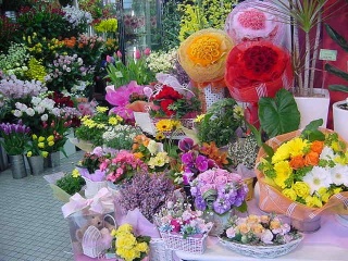 さわやかな高知市の花屋さん うめこちゃんのブログ