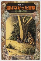 選ばなかった冒険―光の石の伝説（偕成社文庫）