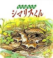 きたのもりのシマリスくん