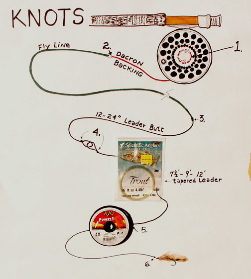 Take Me Fishing | Fly Casting Basics
