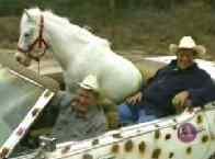 Patches the Coolest Horse - YouTube