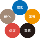 アンチペンタプログラム