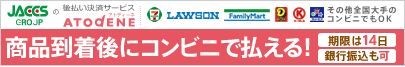 払い決済サービス「アトディーネ」