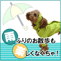 リンク先：ちょびレポレインコート