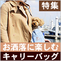 特集_キャリーバッグ
