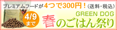GREEN DOG：春のごはん祭