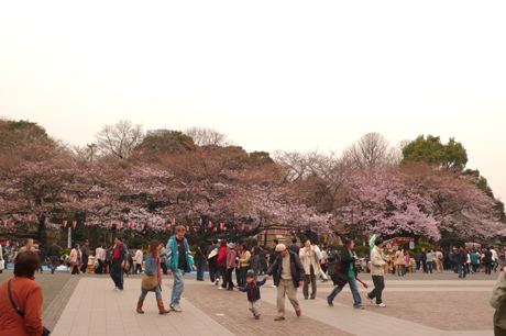 20070327_023.jpg