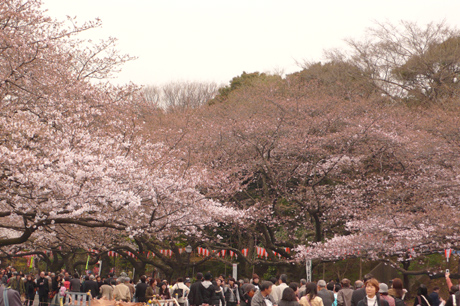20070327_024.jpg