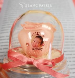 フォトローズ写真