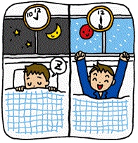 美容-規則正しく