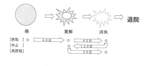 画像の説明