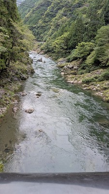 画像の説明