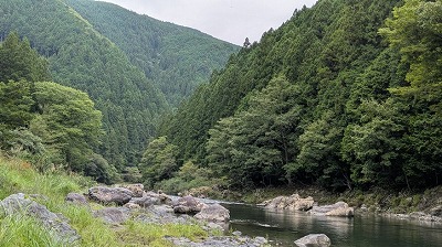 画像の説明