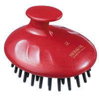 ＩＫＥＭＯＴＯ ツバキ油　シャンプーブラシ