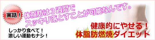 体脂肪燃焼ダイエット