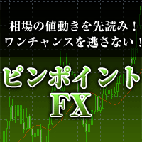 【特別価格】ピンポイントトレーディングツール「ピンポイントFX」