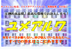【BIGtomorrow掲載】情報起業、メルマガアフィリ、オークション異なる３つのビジネスで稼ぎ倒す「ユメアルワ」