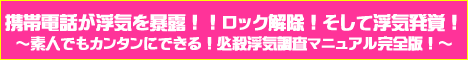 2010最新携帯機種のロック解除に成功！主婦でもできた！携帯から浮気の全てを暴露！必殺浮気調査マニュアル完全版！離婚、復縁、ダイエット、結婚、恋愛、アフィリエイト、株式、FX、ＳＥＯ、婚活をしてる人にお勧め