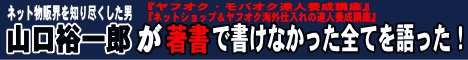 書籍には書けなかった年商1000万円を叩きだす「THEアルティメットオークション」仕入れ・販売戦略for個人バイヤー　ヤフオク・モバオク・アマゾン・イーベイ・楽天など各種対応