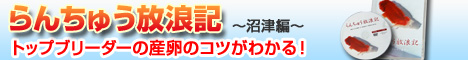 らんちゅう放浪記DVD沼津編テーマ産卵