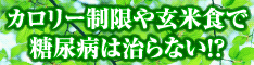 【糖尿病改善】玄米で糖尿病は治らない！根本式糖尿病治療法（特許出願中）