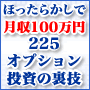 ほったらかしで月収１００万円 ２２５オプション投資の裏技