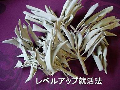cc - キャリアコンサルタント 渡部　俊和　のホームページ