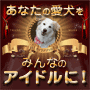ハリウッド式タレント犬トレーニングに学ぶアイラ・メソッド～the Islay method～