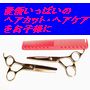 キッズ ヘアカット＆ヘアケア